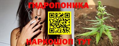 дурь Камышлов