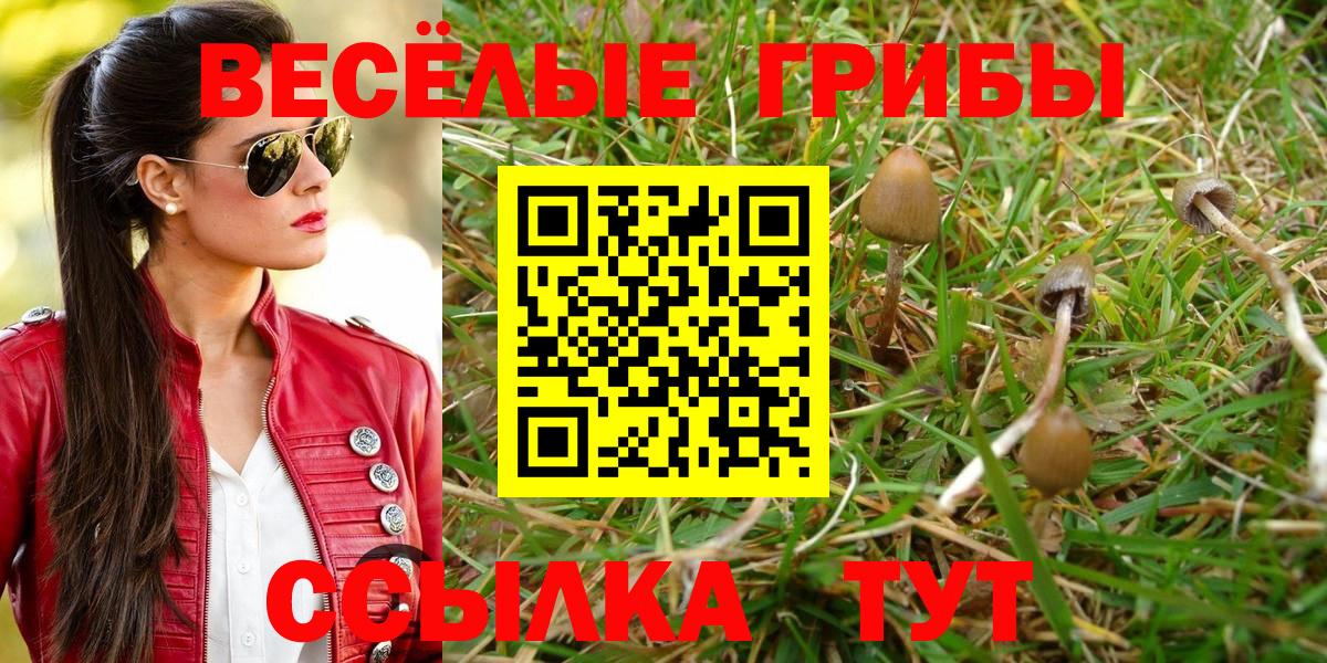 Псилоцибиновые грибы Cubensis  Вход с VPN  Лангепас  Галлюциногенные грибы ЛСД 