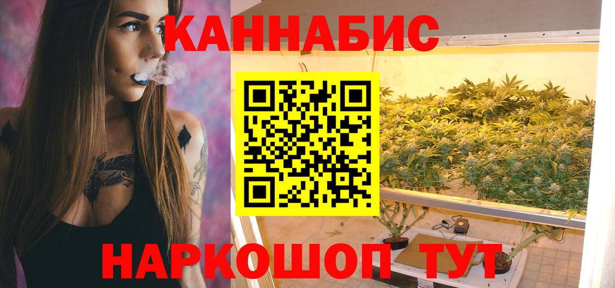 Бошки Шишки планчик Лангепас